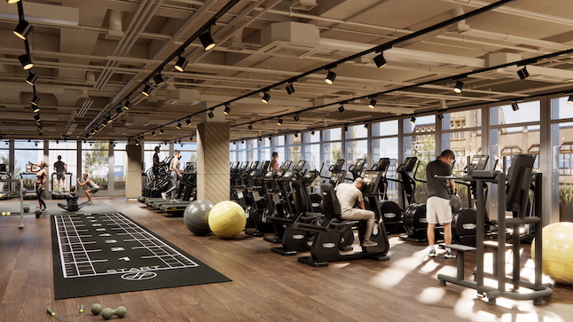 V1 GYM OPTION 4