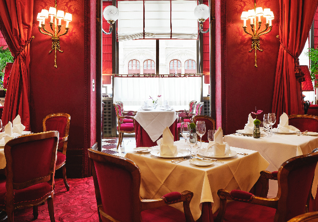 Sacher 4