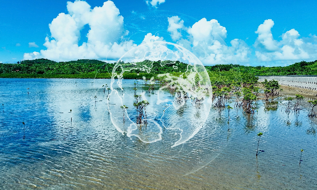 Sustainability 388